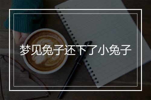 梦见兔子还下了小兔子