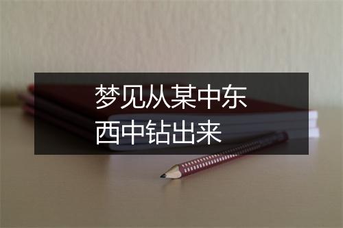 梦见从某中东西中钻出来