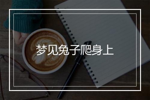 梦见兔子爬身上