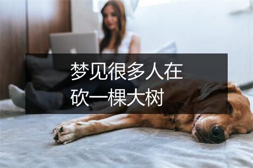 梦见很多人在砍一棵大树