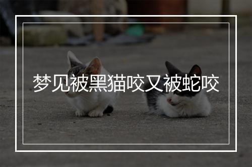 梦见被黑猫咬又被蛇咬