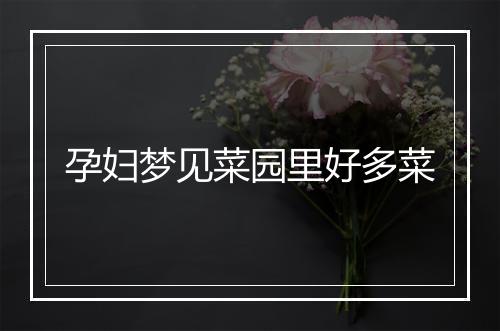 孕妇梦见菜园里好多菜