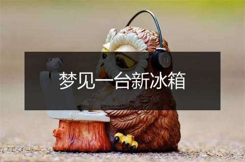 梦见一台新冰箱