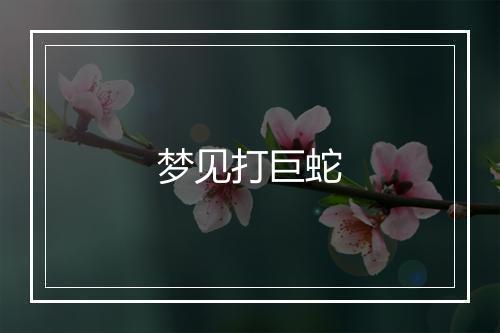 梦见打巨蛇