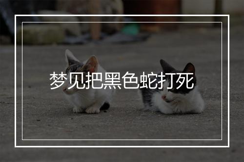 梦见把黑色蛇打死