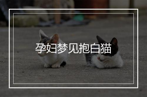 孕妇梦见抱白猫