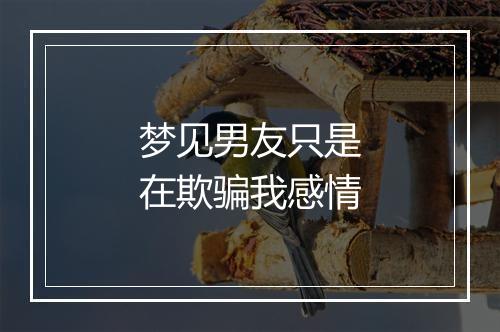 梦见男友只是在欺骗我感情