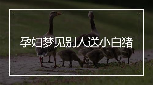 孕妇梦见别人送小白猪