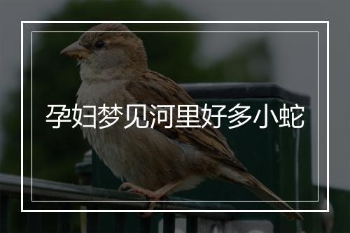 孕妇梦见河里好多小蛇