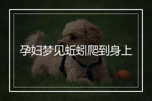 孕妇梦见蚯蚓爬到身上