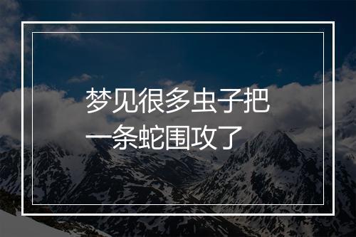 梦见很多虫子把一条蛇围攻了