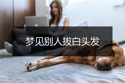 梦见别人拔白头发