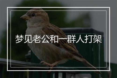 梦见老公和一群人打架