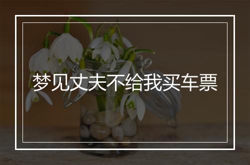 梦见丈夫不给我买车票