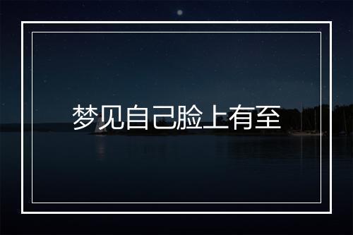 梦见自己脸上有至