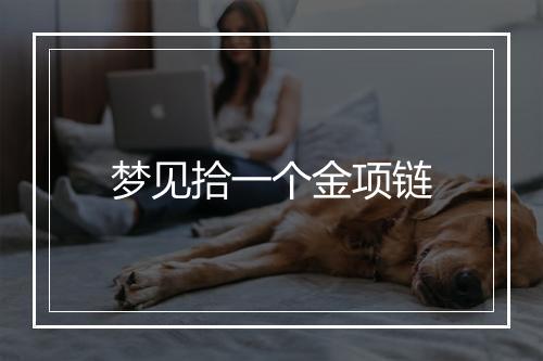 梦见拾一个金项链