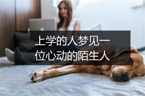 上学的人梦见一位心动的陌生人