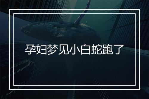 孕妇梦见小白蛇跑了