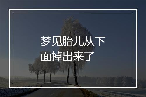 梦见胎儿从下面掉出来了