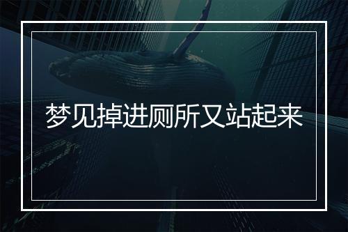 梦见掉进厕所又站起来