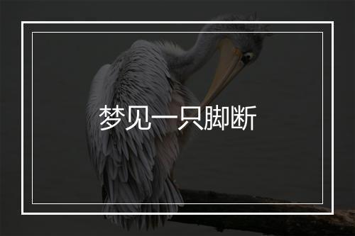 梦见一只脚断