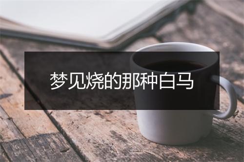 梦见烧的那种白马