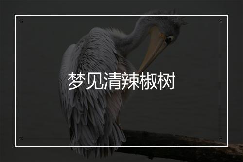 梦见清辣椒树