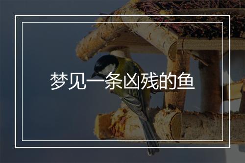 梦见一条凶残的鱼