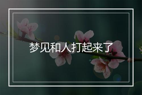 梦见和人打起来了