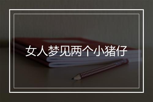 女人梦见两个小猪仔