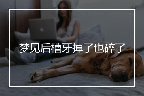 梦见后槽牙掉了也碎了