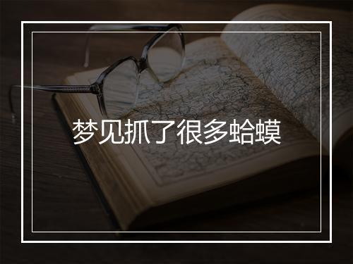 梦见抓了很多蛤蟆