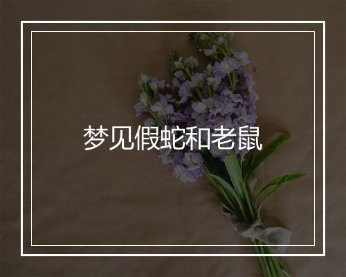 梦见假蛇和老鼠