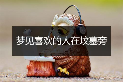 梦见喜欢的人在坟墓旁