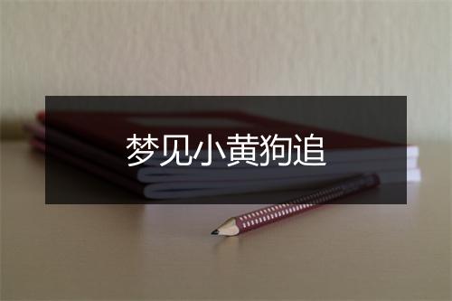 梦见小黄狗追