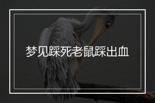 梦见踩死老鼠踩出血