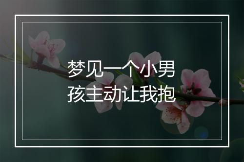 梦见一个小男孩主动让我抱