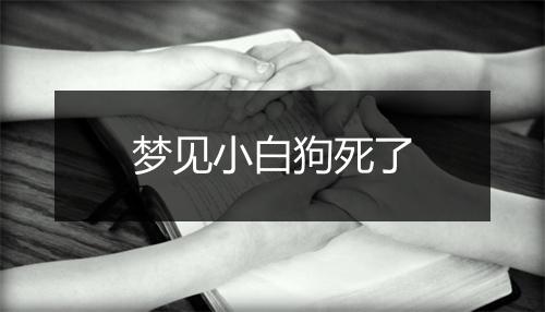 梦见小白狗死了