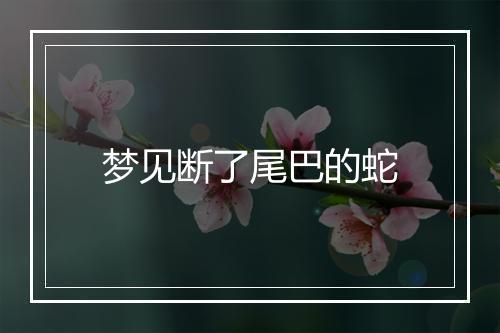 梦见断了尾巴的蛇