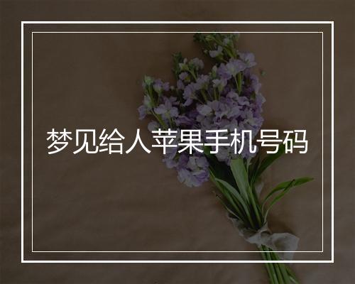 梦见给人苹果手机号码