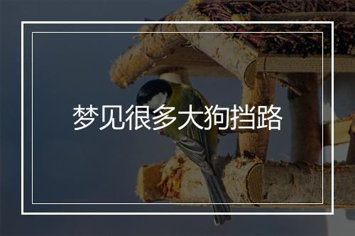 梦见很多大狗挡路