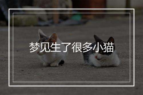 梦见生了很多小猫