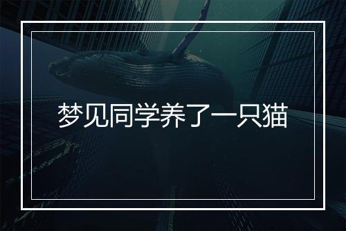 梦见同学养了一只猫