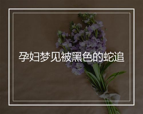 孕妇梦见被黑色的蛇追