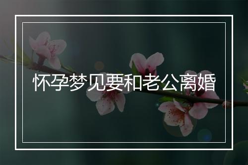 怀孕梦见要和老公离婚