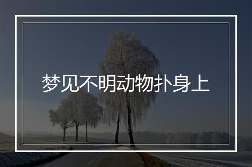 梦见不明动物扑身上