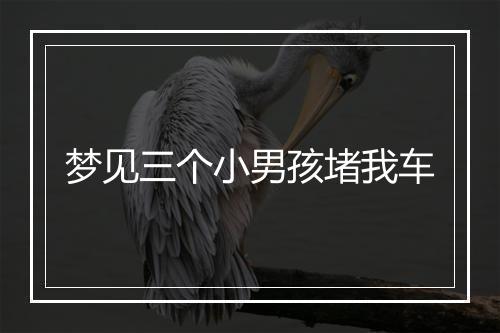 梦见三个小男孩堵我车