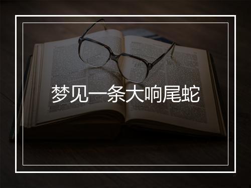 梦见一条大响尾蛇