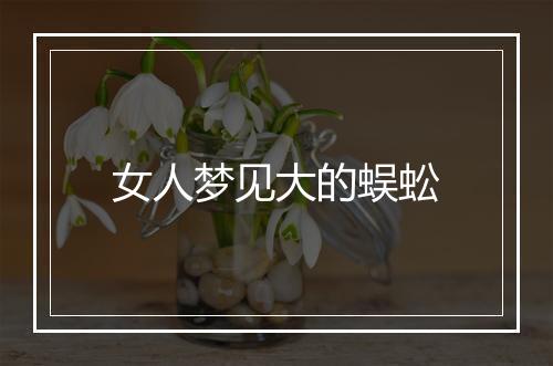 女人梦见大的蜈蚣