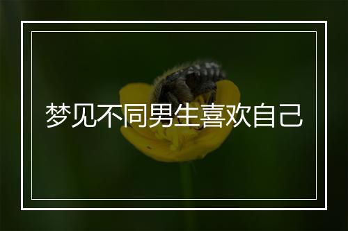 梦见不同男生喜欢自己